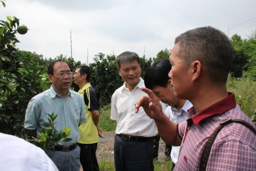 关院长询问黄龙病情况