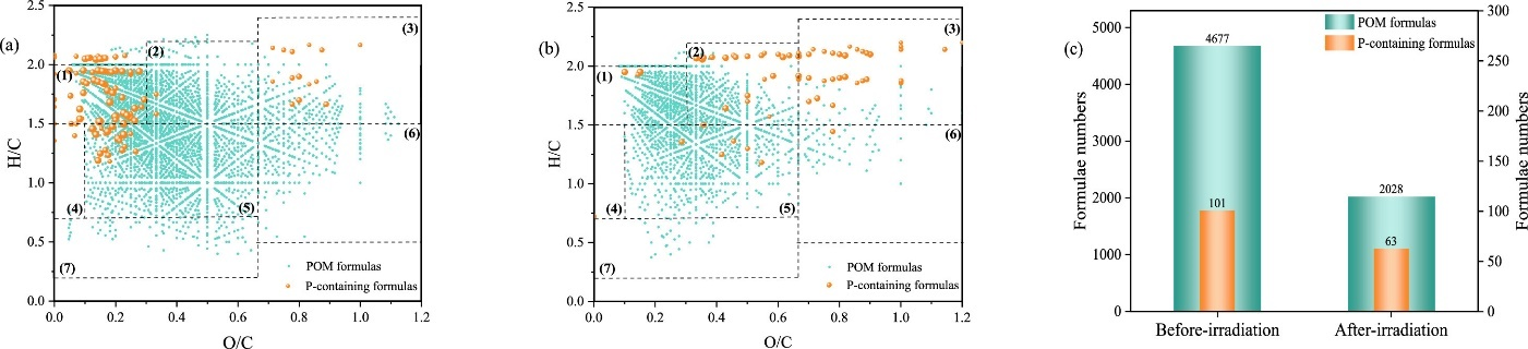 图1 光照前(a)、光照后(b) POM和含磷分子的Van Krevelen图及其分子量分布情况（c）