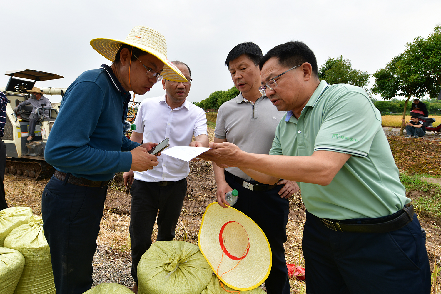 王积军、肖长惜等专家组成员核对数据（记者 刘涛 摄）