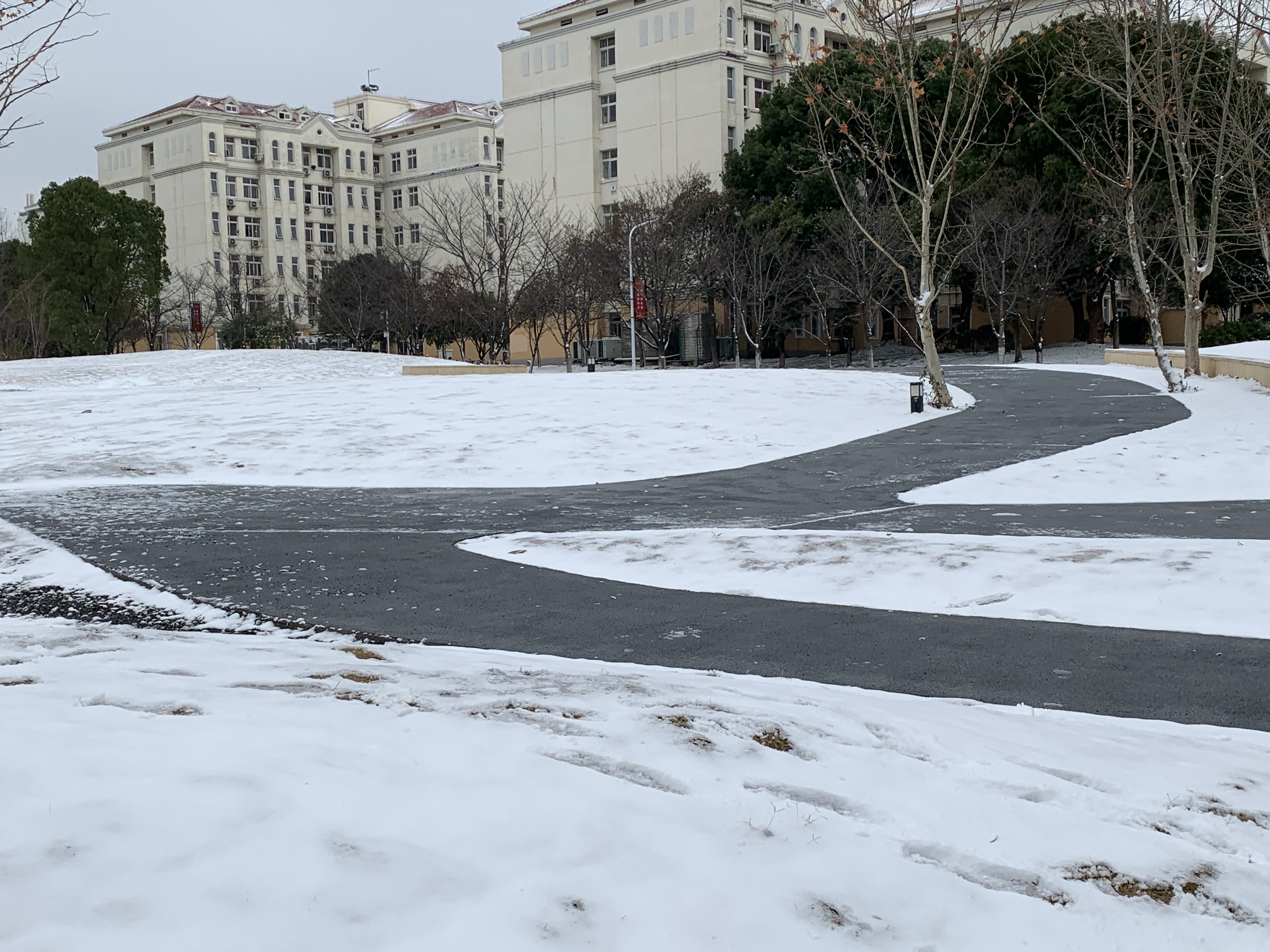 雪中乐乐园（彭光芒 摄） (2)