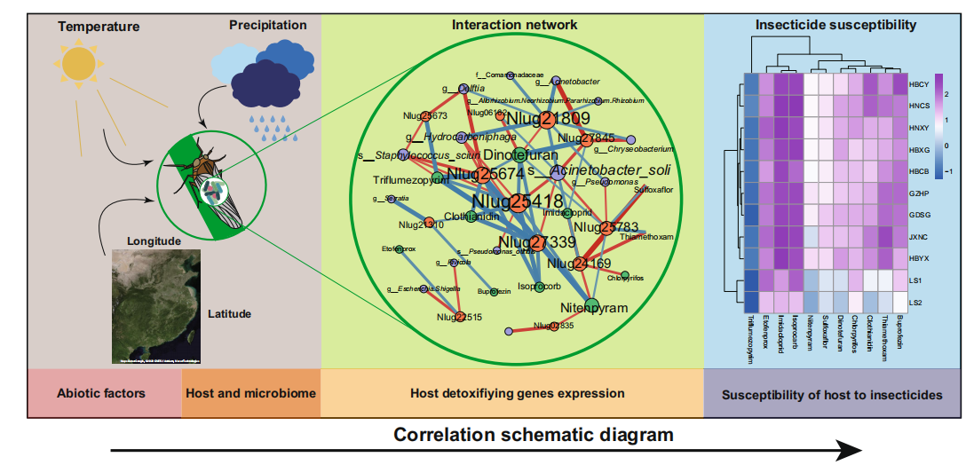 非生物环境因子驱动的微生物组变异塑造了褐飞虱解毒基因表达模式进而影响宿主的杀虫剂抗药性变异